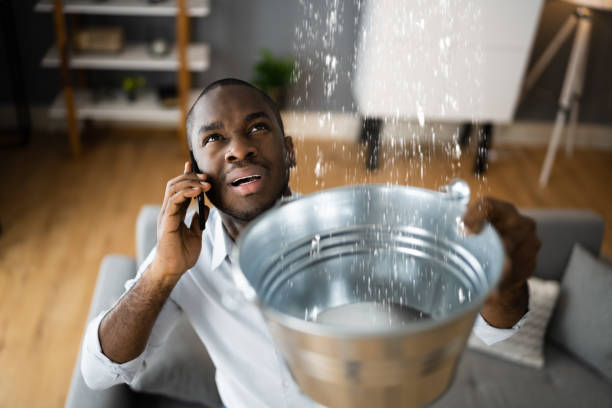 Trusted Water Damage Restoration in Alderton, WA | Fast, Reliable, and Ready to Assist You